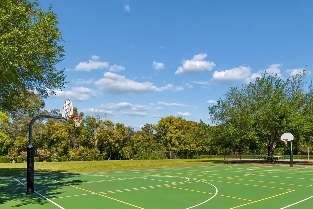 17008 Madres De Avila, Tampa, FL 33613 Photo