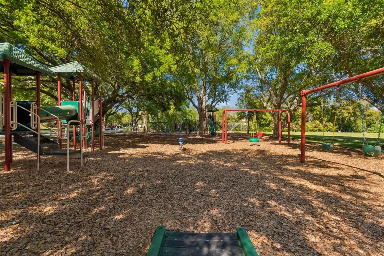 17008 Madres De Avila, Tampa, FL 33613 Photo