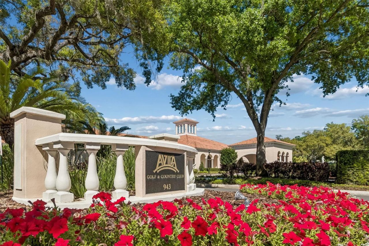 17008 Madres De Avila, Tampa, FL 33613 Photo