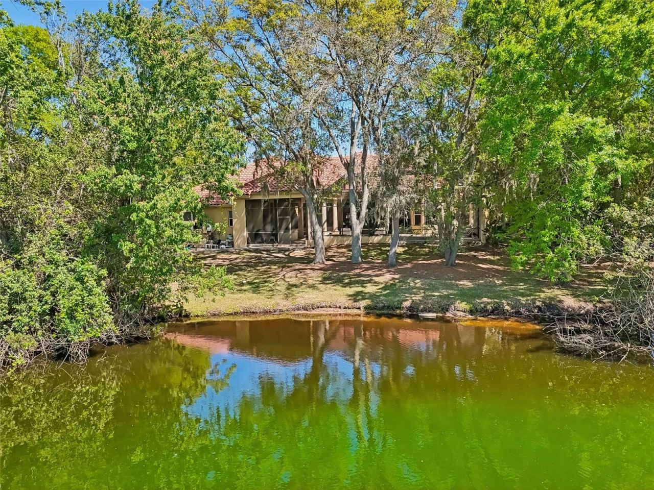 17008 Madres De Avila, Tampa, FL 33613 Photo