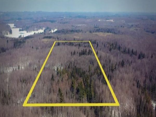 EMIL DRIVE, Rib Lake, WI 54470