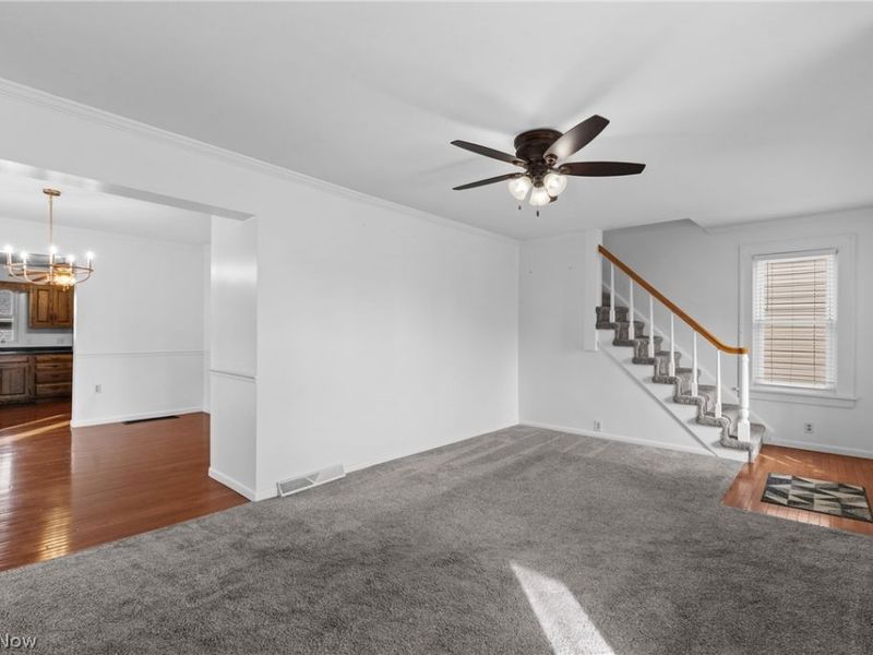 249 W 42nd Street, Shadyside, OH 43947 Photo 10