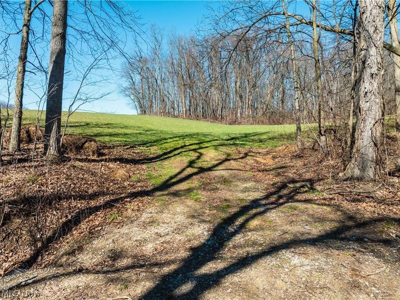 Burrier Road, Jewett, OH 43986 Photo 4