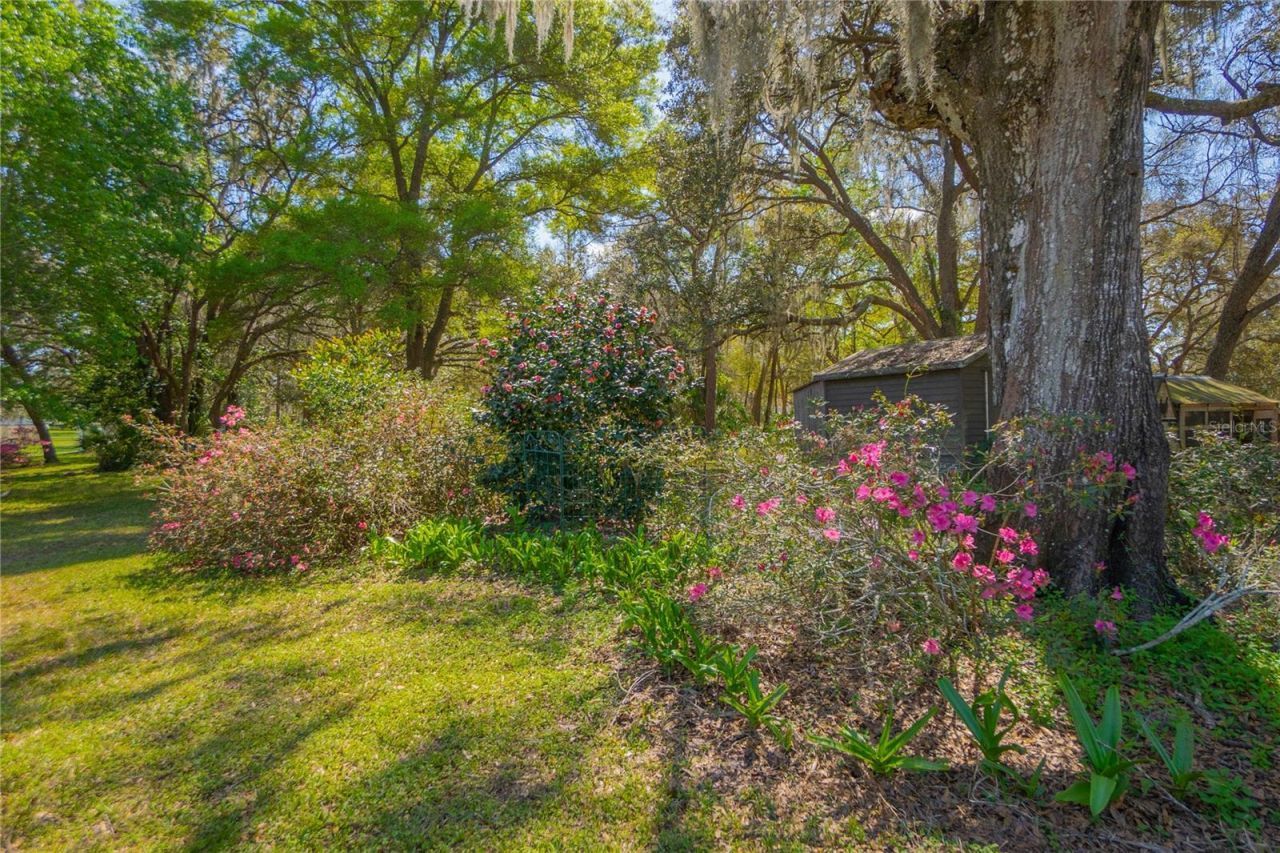 9800 E Regency Row, Inverness, FL 34450 Photo