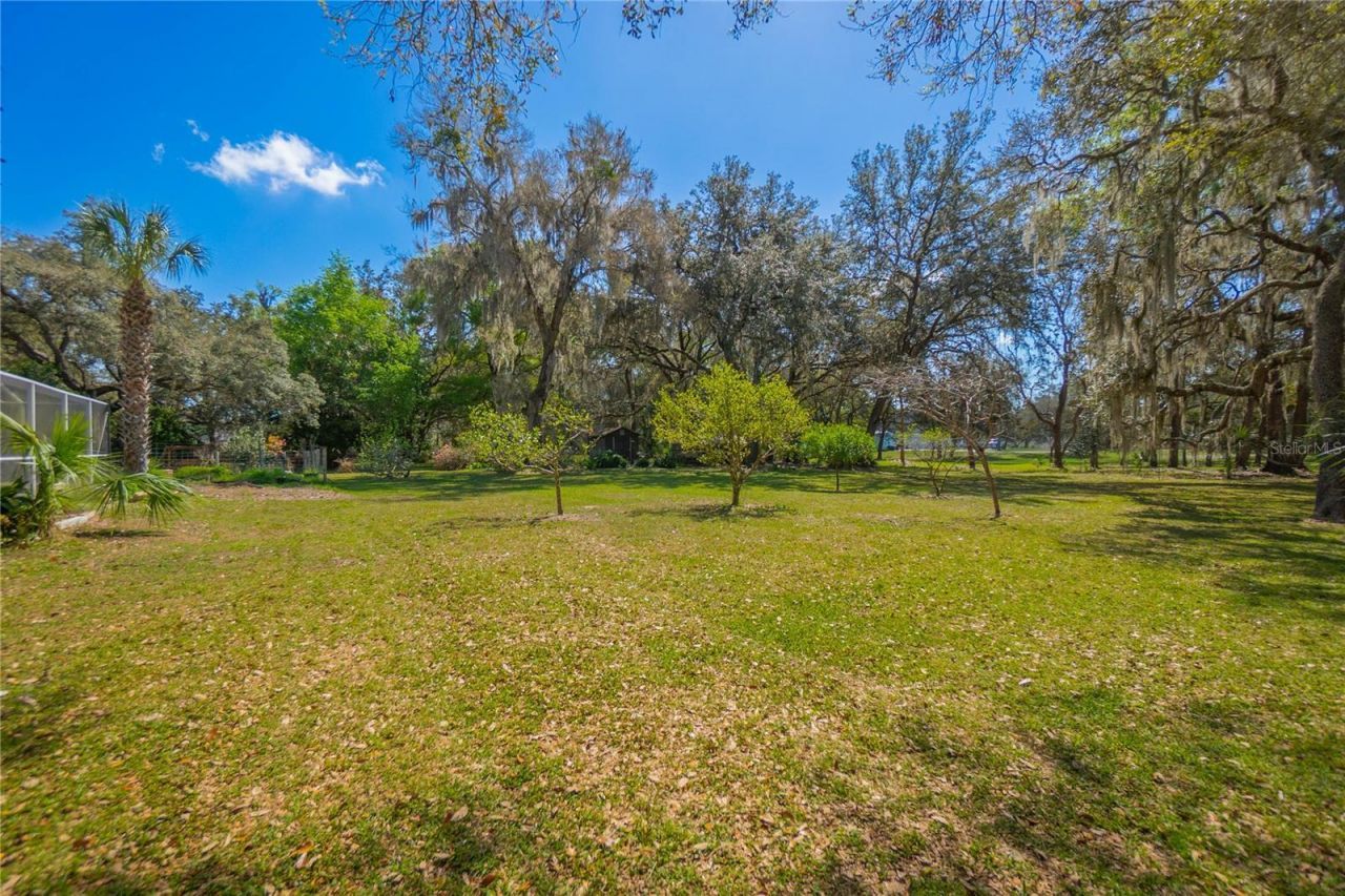 9800 E Regency Row, Inverness, FL 34450 Photo