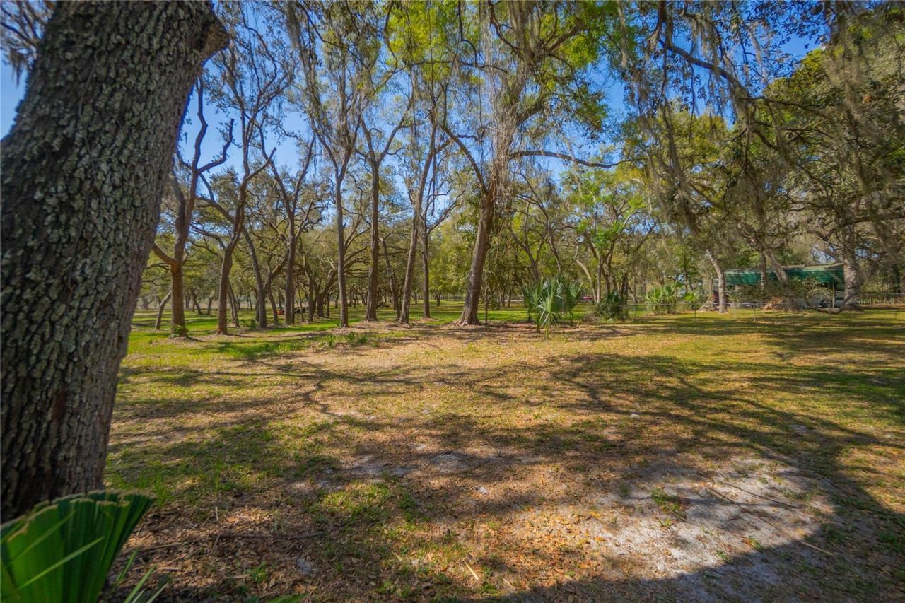 9800 E Regency Row, Inverness, FL 34450 Photo