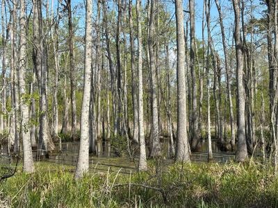 Rocky Ford Rd., Salters, SC 29590