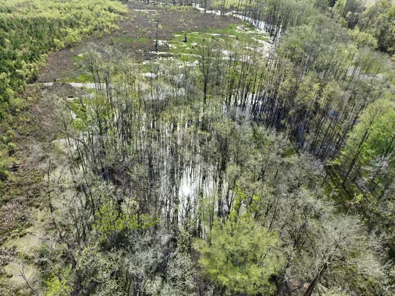 Rocky Ford Rd. Photo 10