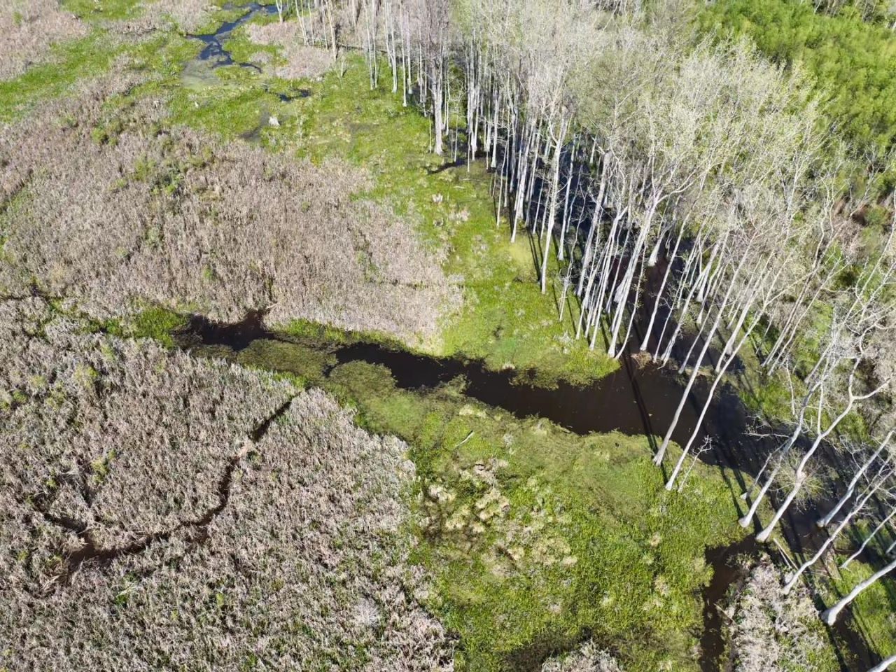 Rocky Ford Rd. Photo 11