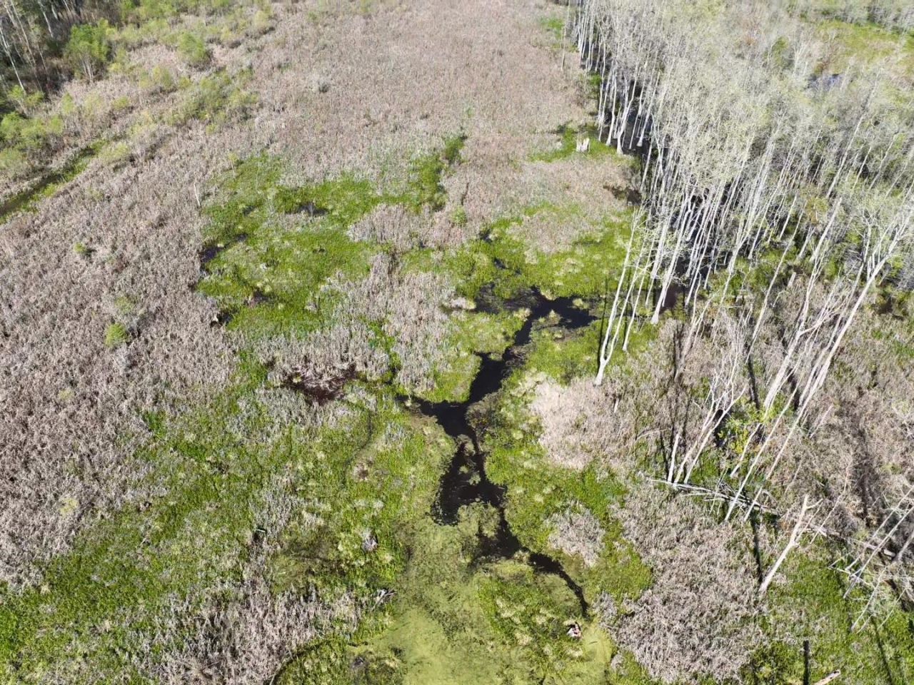 Rocky Ford Rd. Photo 12