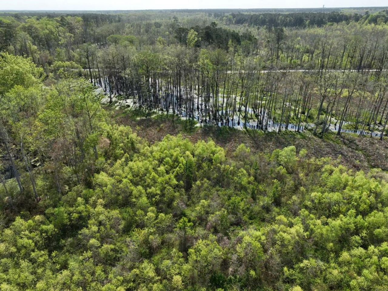 Rocky Ford Rd. Photo 13