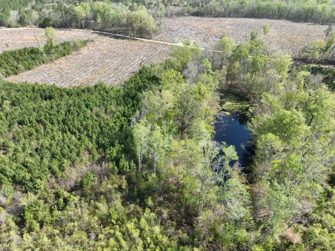 Rocky Ford Rd. Photo 15