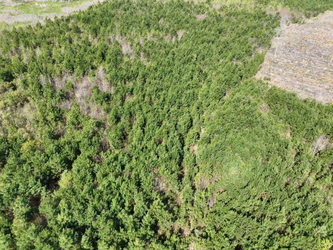 Rocky Ford Rd. Photo 16