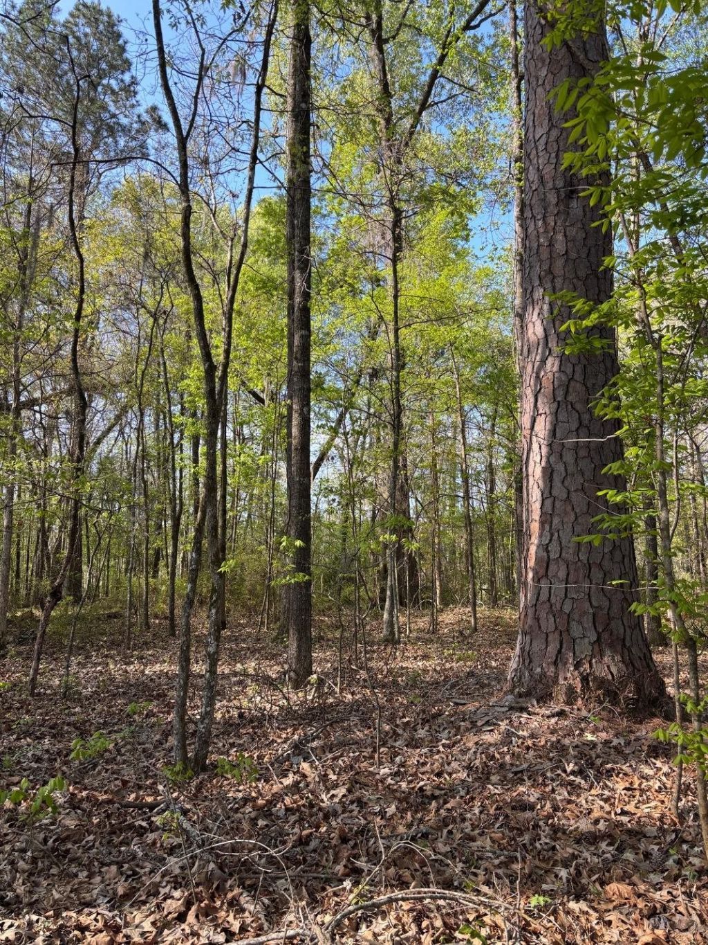 Rocky Ford Rd. Photo 2