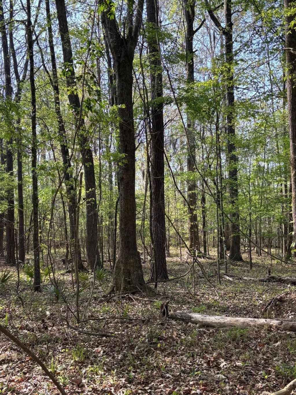 Rocky Ford Rd. Photo 3