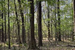 Rocky Ford Rd. photo 4