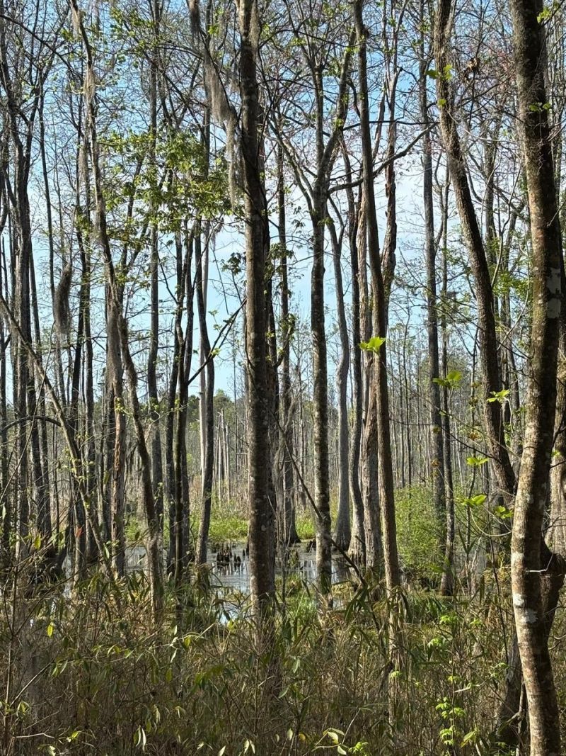 Rocky Ford Rd. Photo 4