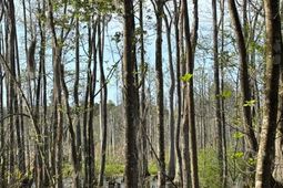 Rocky Ford Rd. photo 4