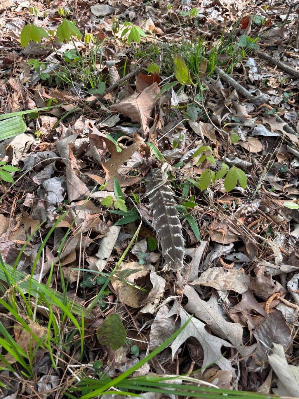 Rocky Ford Rd. Photo 5