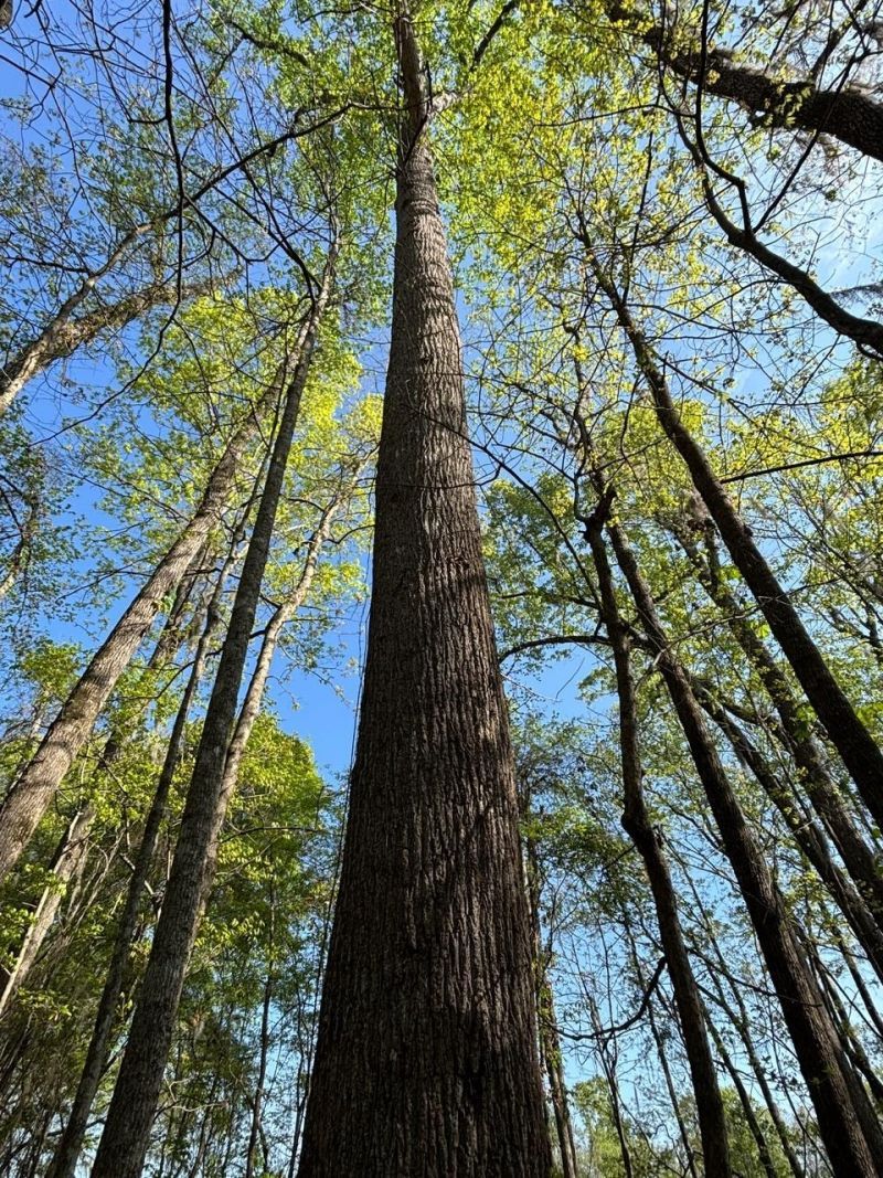 Rocky Ford Rd. Photo 6