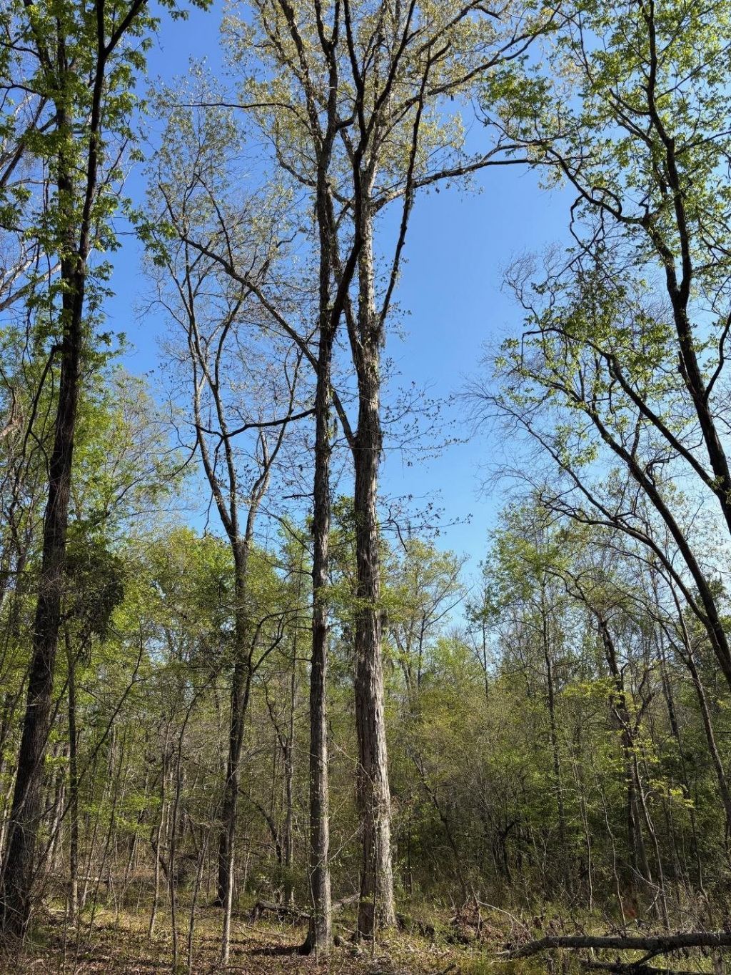 Rocky Ford Rd. Photo 7