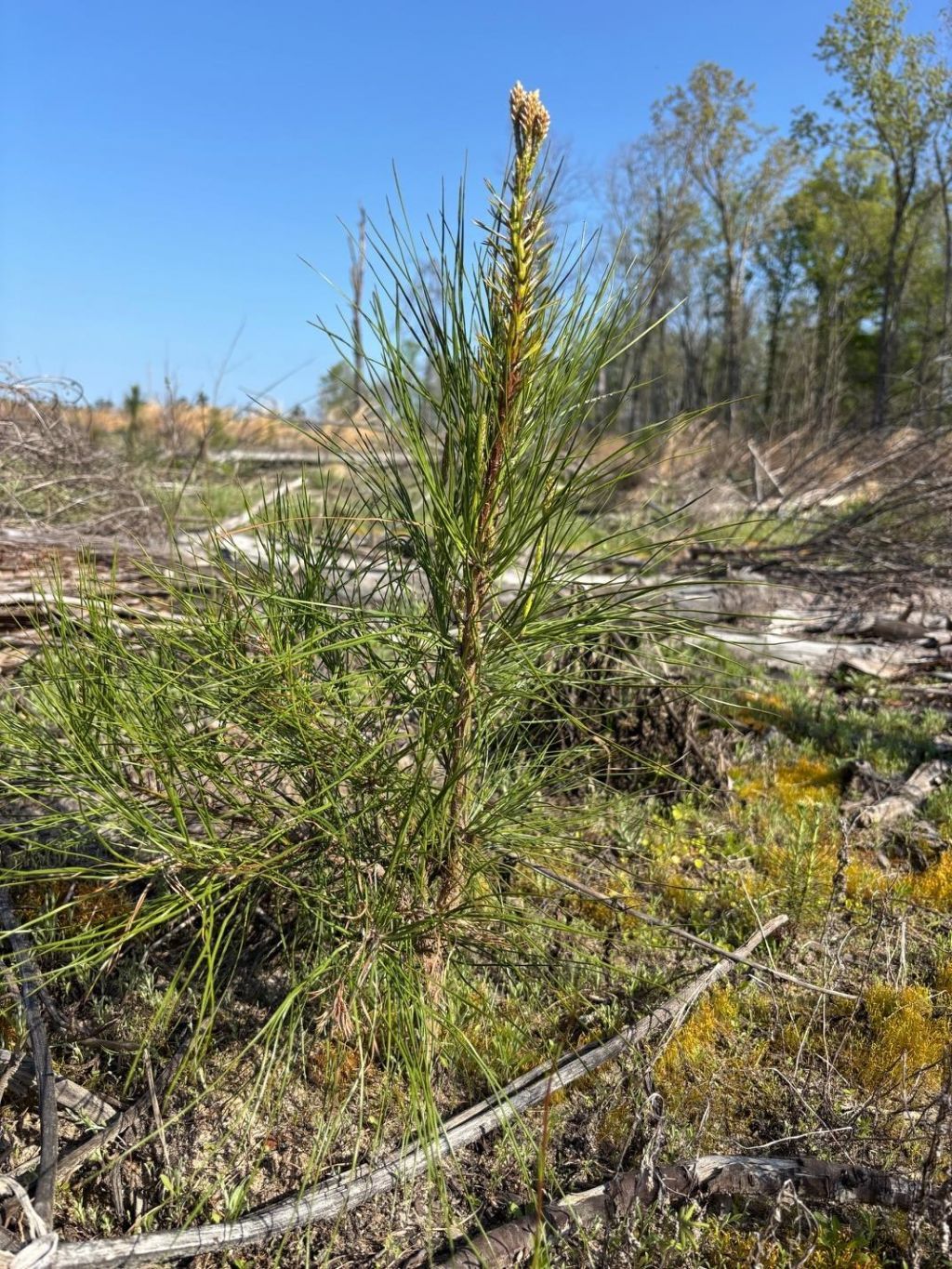 Rocky Ford Rd. Photo 8