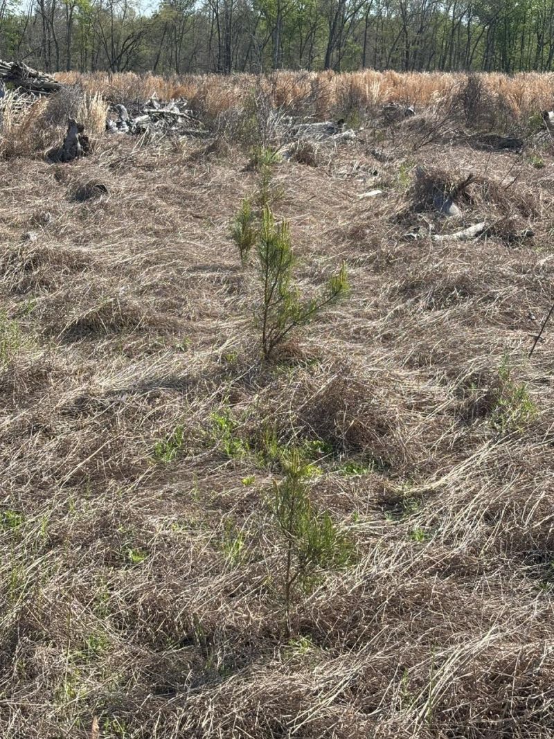 Rocky Ford Rd. Photo 9