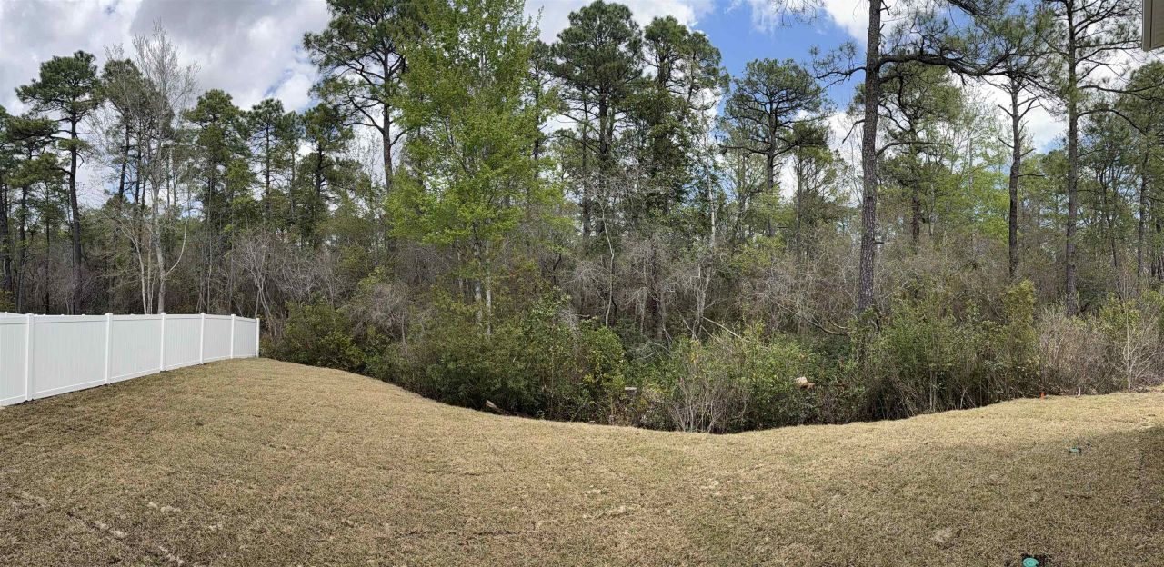 3238 Moss Bridge Ln.  Photo 4