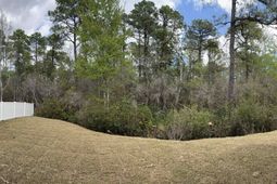 3238 Moss Bridge Ln.  photo 4