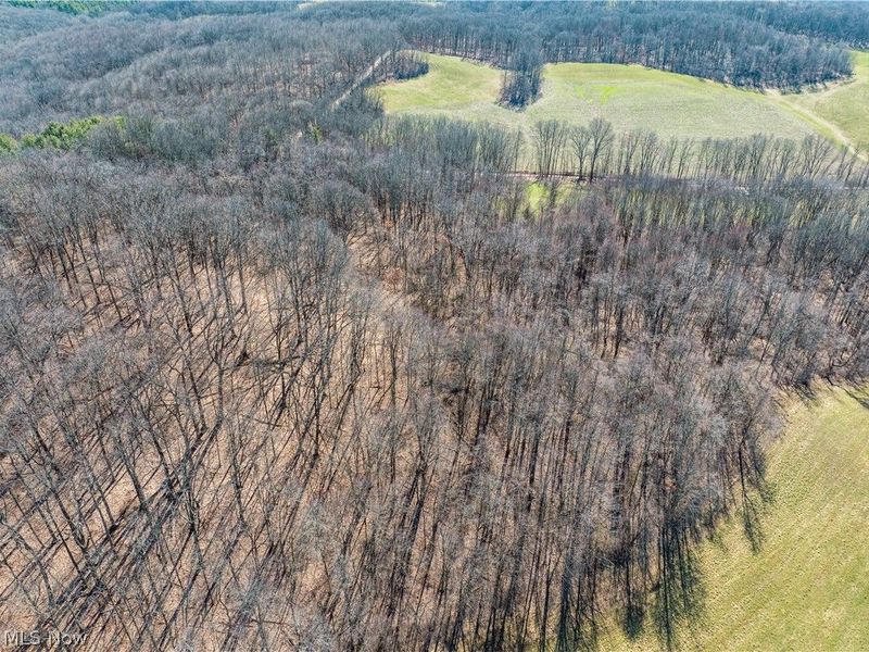 Burrier Road, Jewett, OH 43986 Photo 2