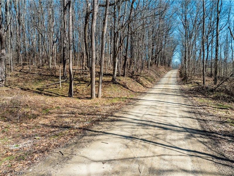 Burrier Road, Jewett, OH 43986 Photo 6