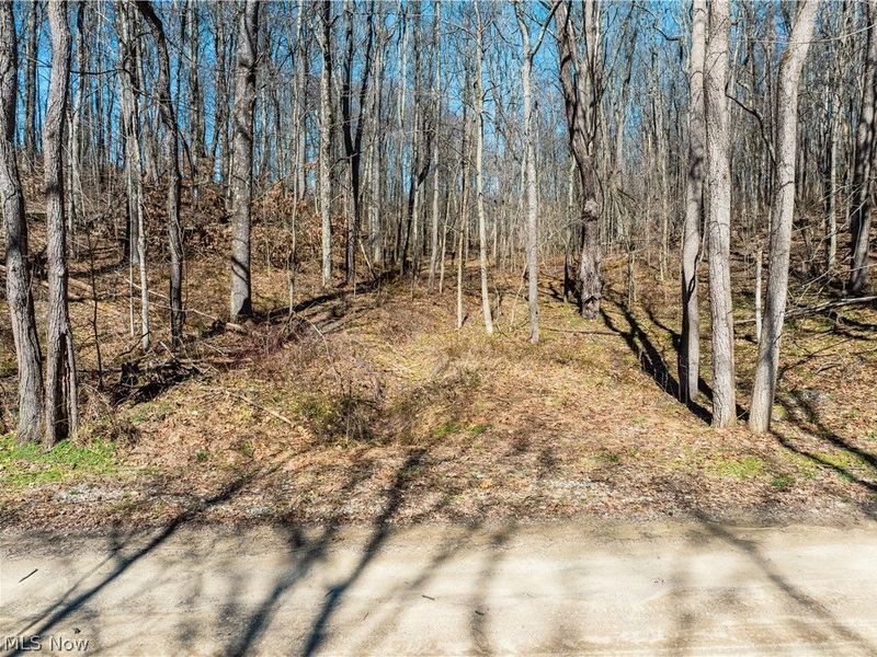 Burrier Road, Jewett, OH 43986 Photo 7