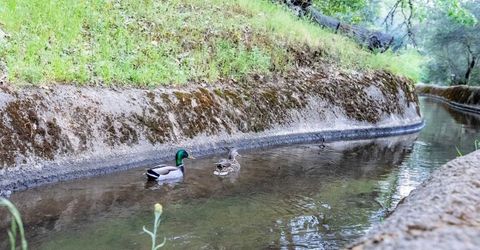 395 Riverview Dr, Auburn, CA 95603 Photo