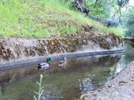 395 Riverview Dr, Auburn, CA 95603 Photo