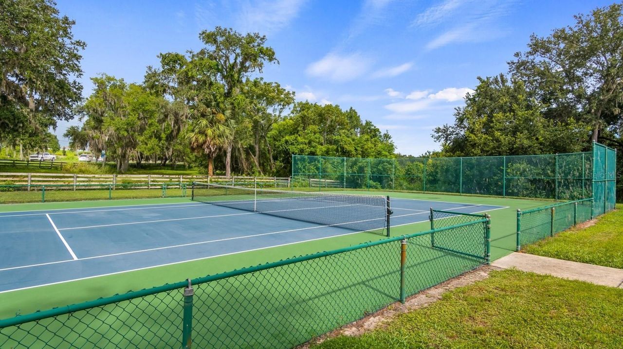 7351 Spring Mountain Lane, Yalaha, FL 34797 Photo