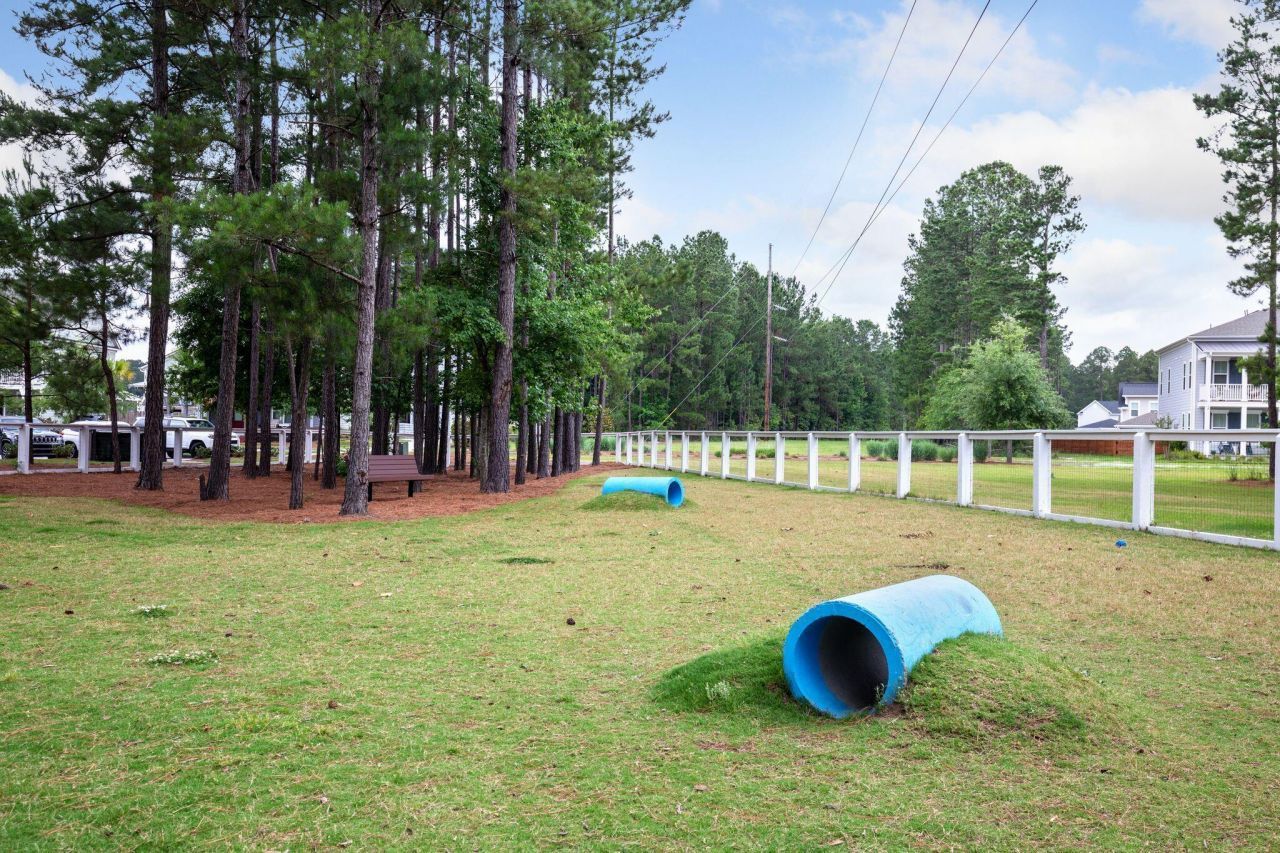 262 Great Lawn Drive Photo 48