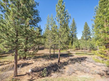 10100 Pioneer Trail, Truckee, CA 96161 Photo