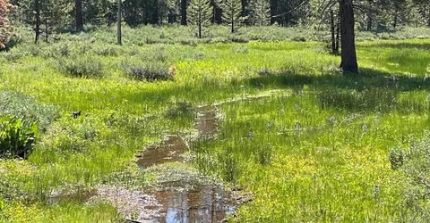 10100 Pioneer Trail, Truckee, CA 96161 Photo