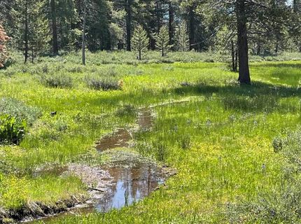 10100 Pioneer Trail, Truckee, CA 96161 Photo