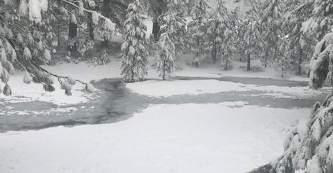 10100 Pioneer Trail, Truckee, CA 96161 Photo