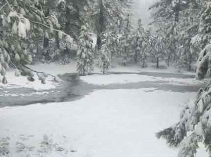 10100 Pioneer Trail, Truckee, CA 96161 Photo