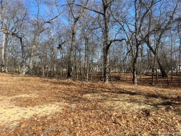 White Sands Drive , Caseville Twp, MI 48755