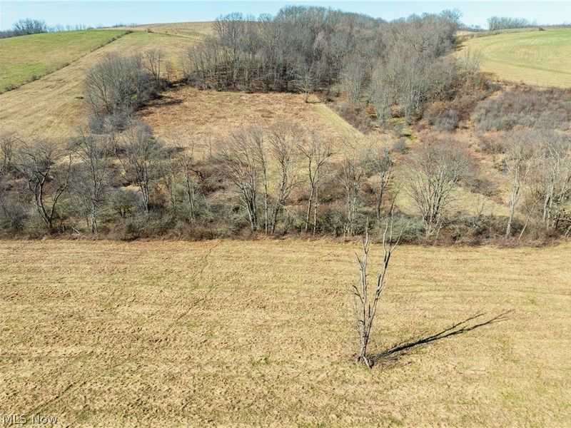 Eckley Road, Jewett, OH 43986 Photo 5