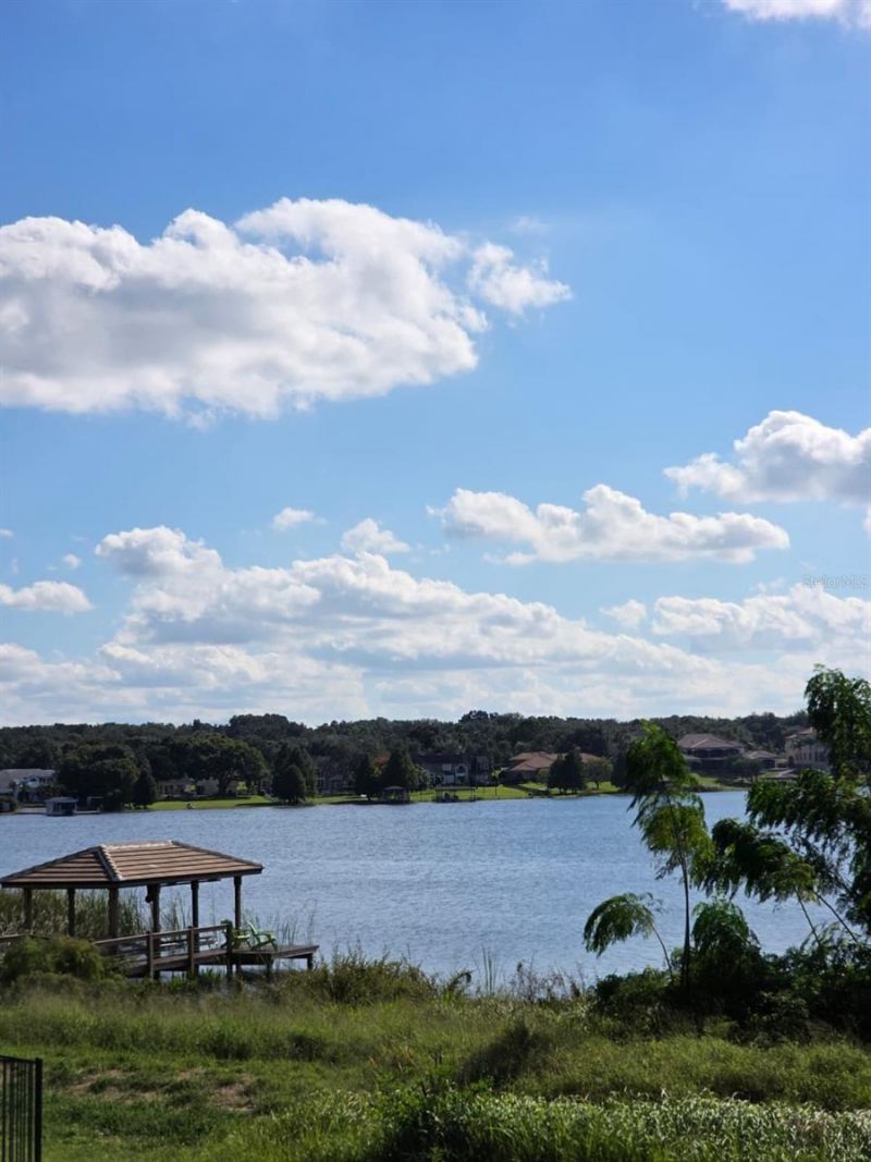 1330 Lake Olivia, Windermere, FL 34786 Photo