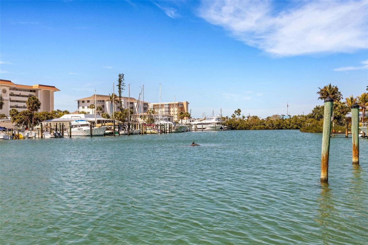 700 El Dorado Drive , Venice, FL 34285 Photo