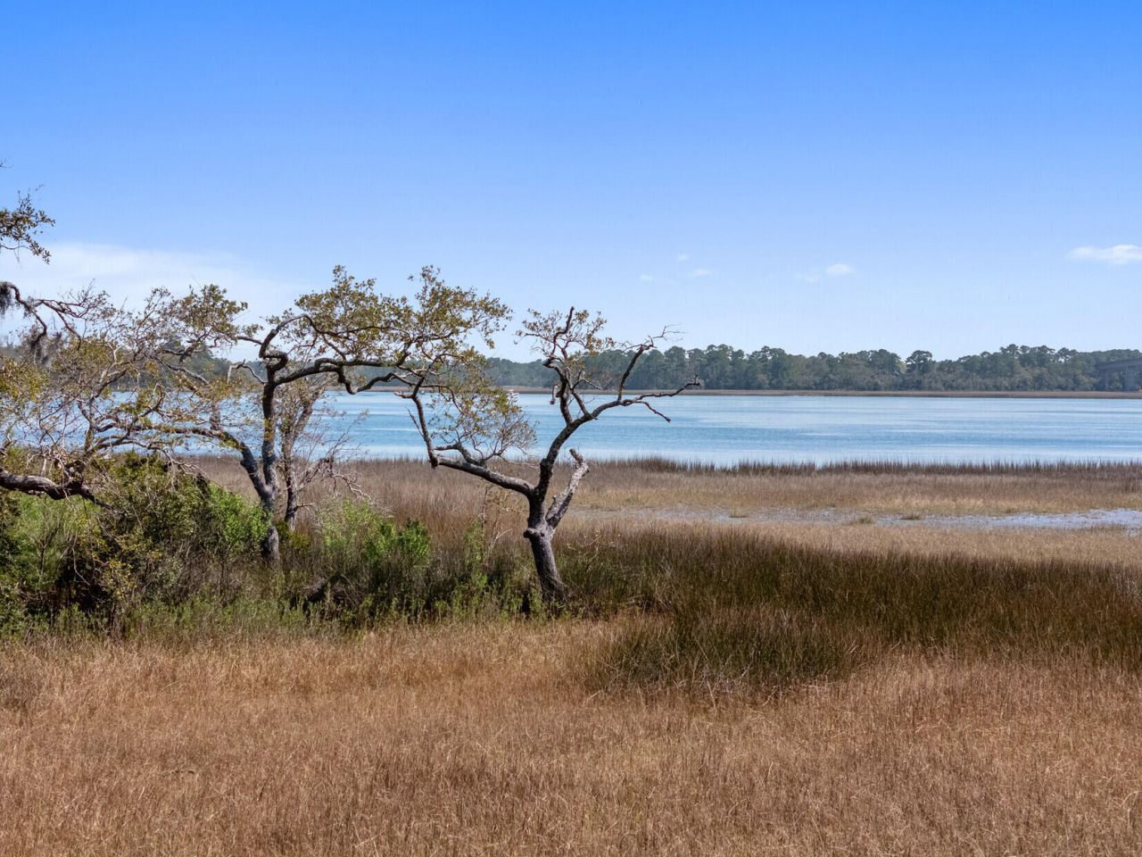 124 Fairbanks Oak Alley Photo 44