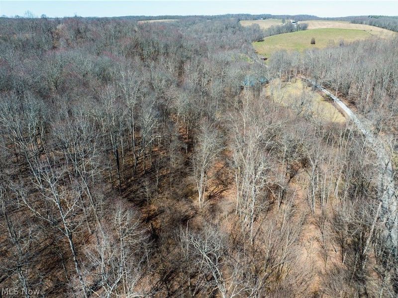 Eckley Road, Jewett, OH 43986 Photo 3