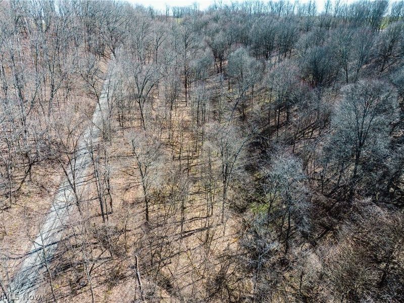 Eckley Road, Jewett, OH 43986 Photo 4