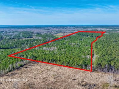 0 Lowcountry Highway, Ruffin, SC 29475