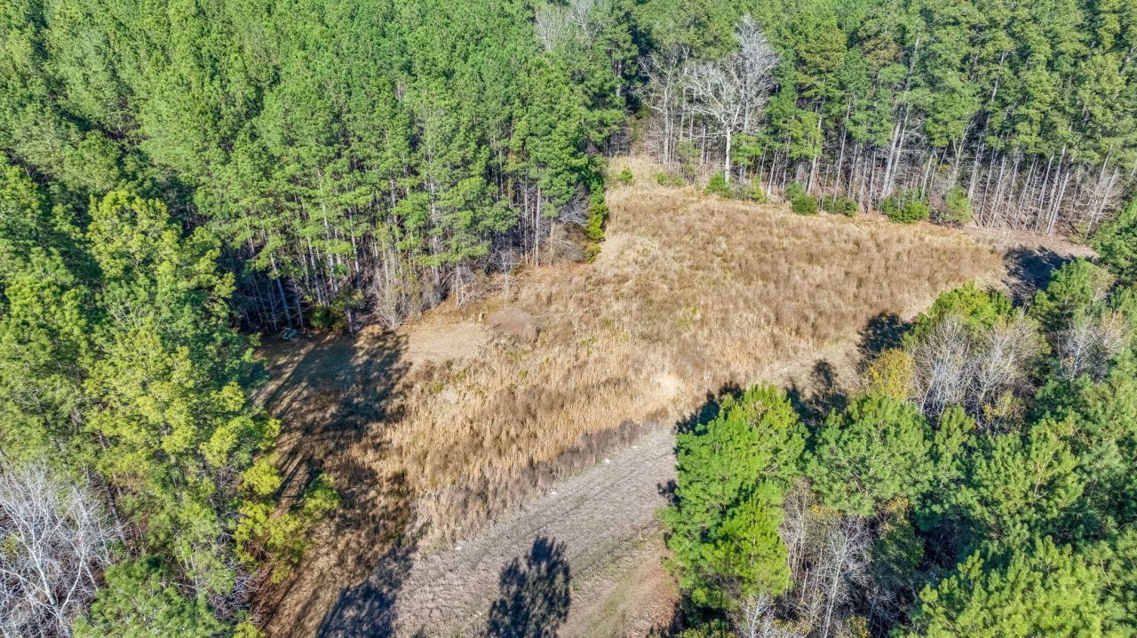 0 Lowcountry Highway Photo 10